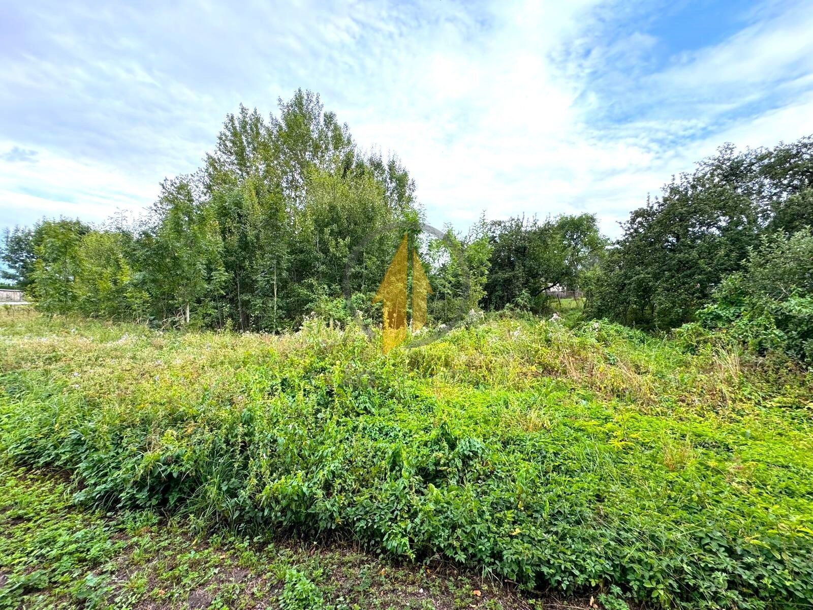 Prodej pozemek pro bydlení - Tetín, 2 017 m²