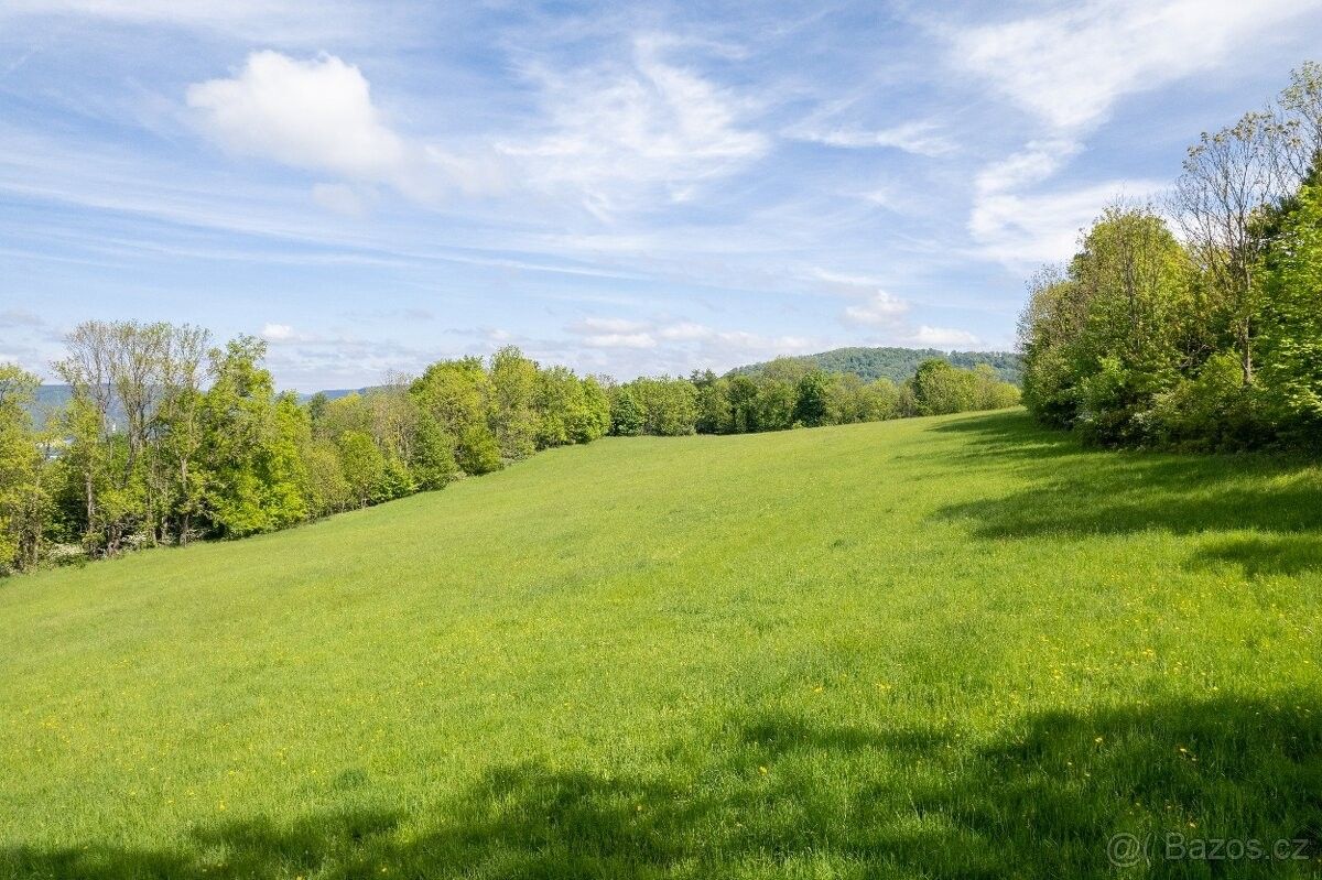 Ostatní, Děčín, 405 02, 19 126 m²