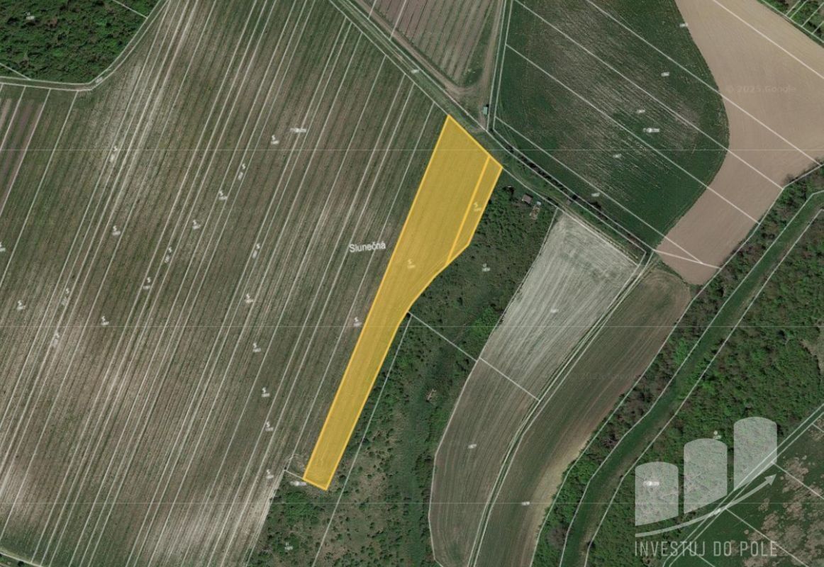 Ostatní, Popice, 5 208 m²