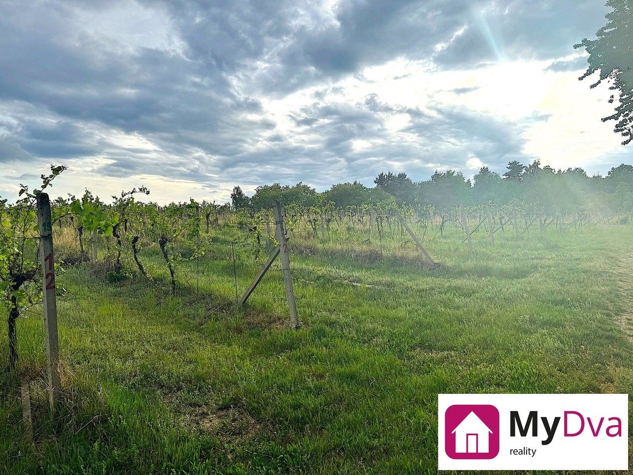 Prodej pozemek - Nový Šaldorf, Nový Šaldorf-Sedlešovice, 7 500 m²