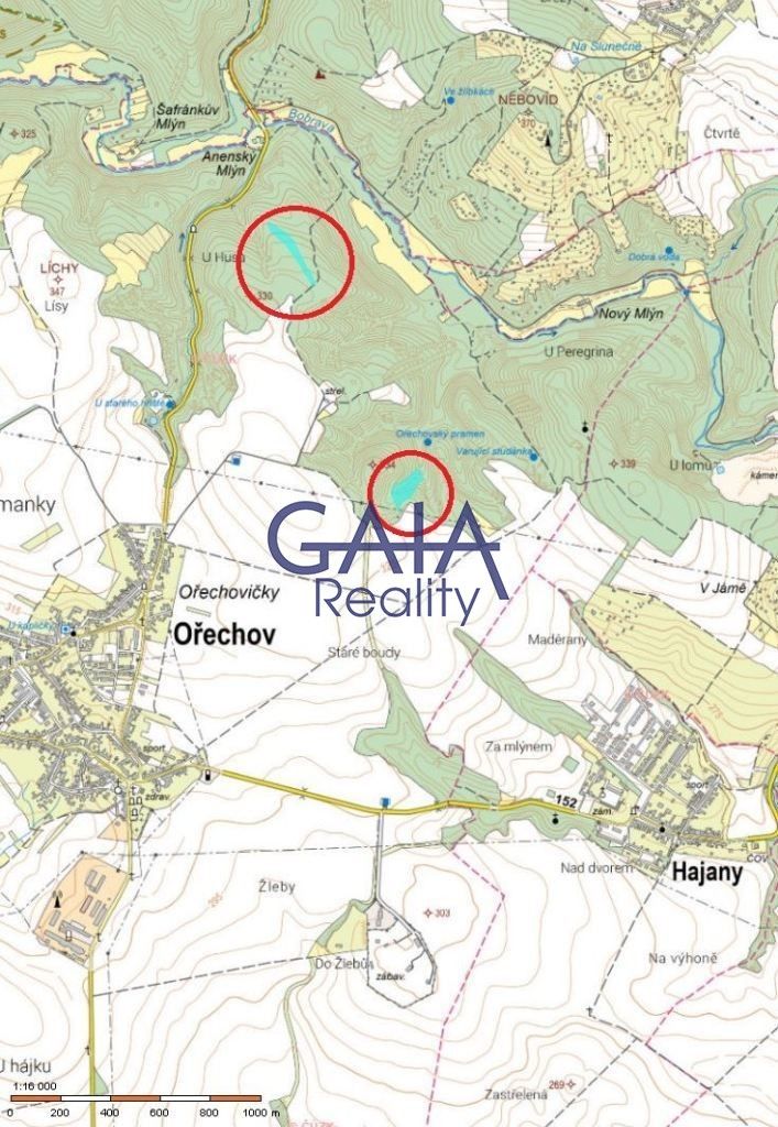 Prodej les - Ořechov, 16 902 m²