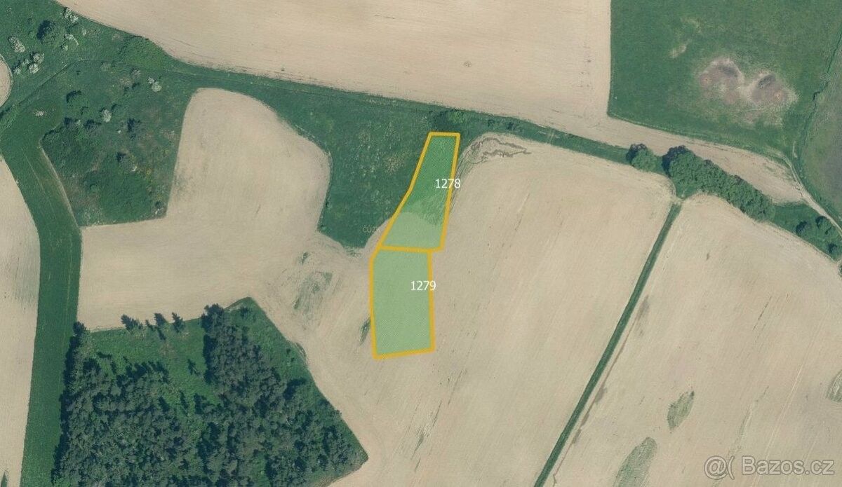 Prodej zemědělský pozemek - Horažďovice, 341 01
