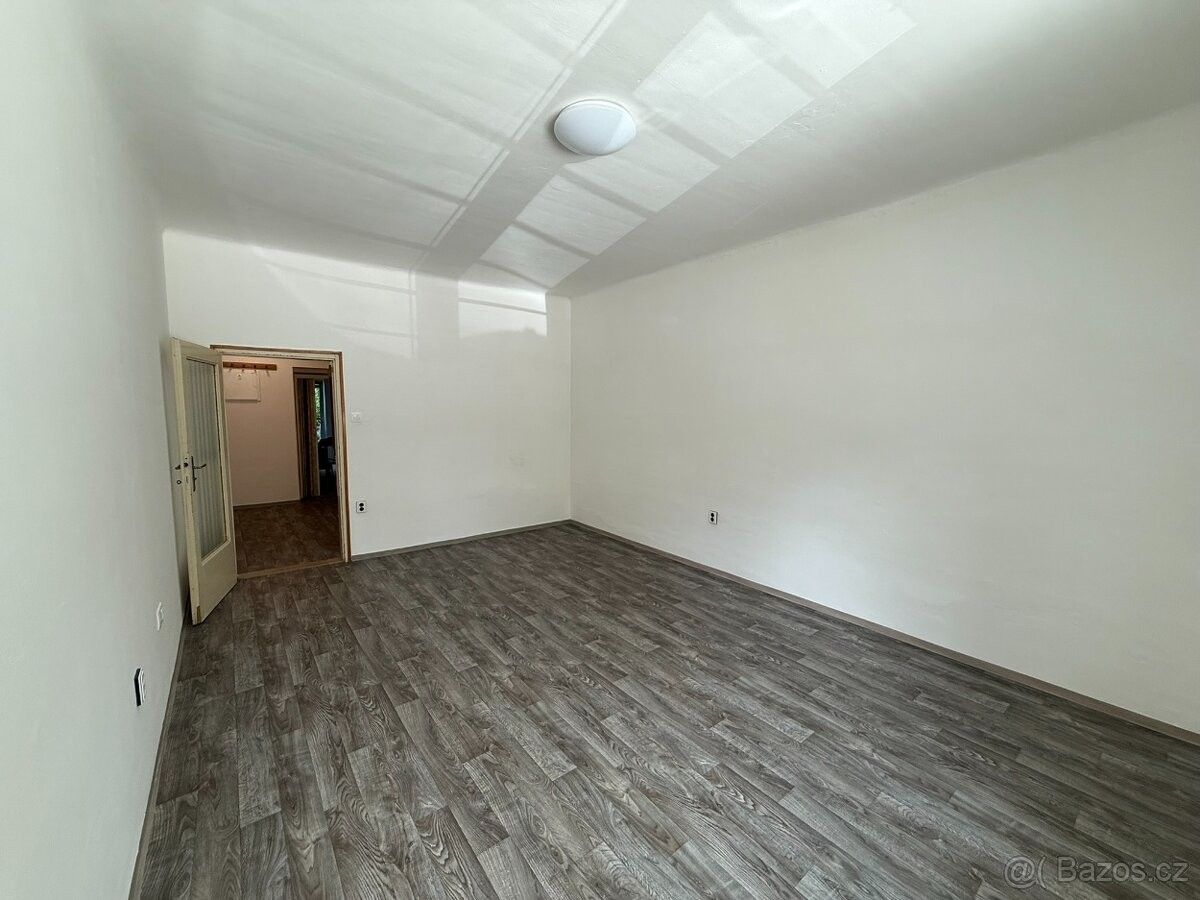 Pronájem byt 1+1 - Brno, 613 00, 49 m²