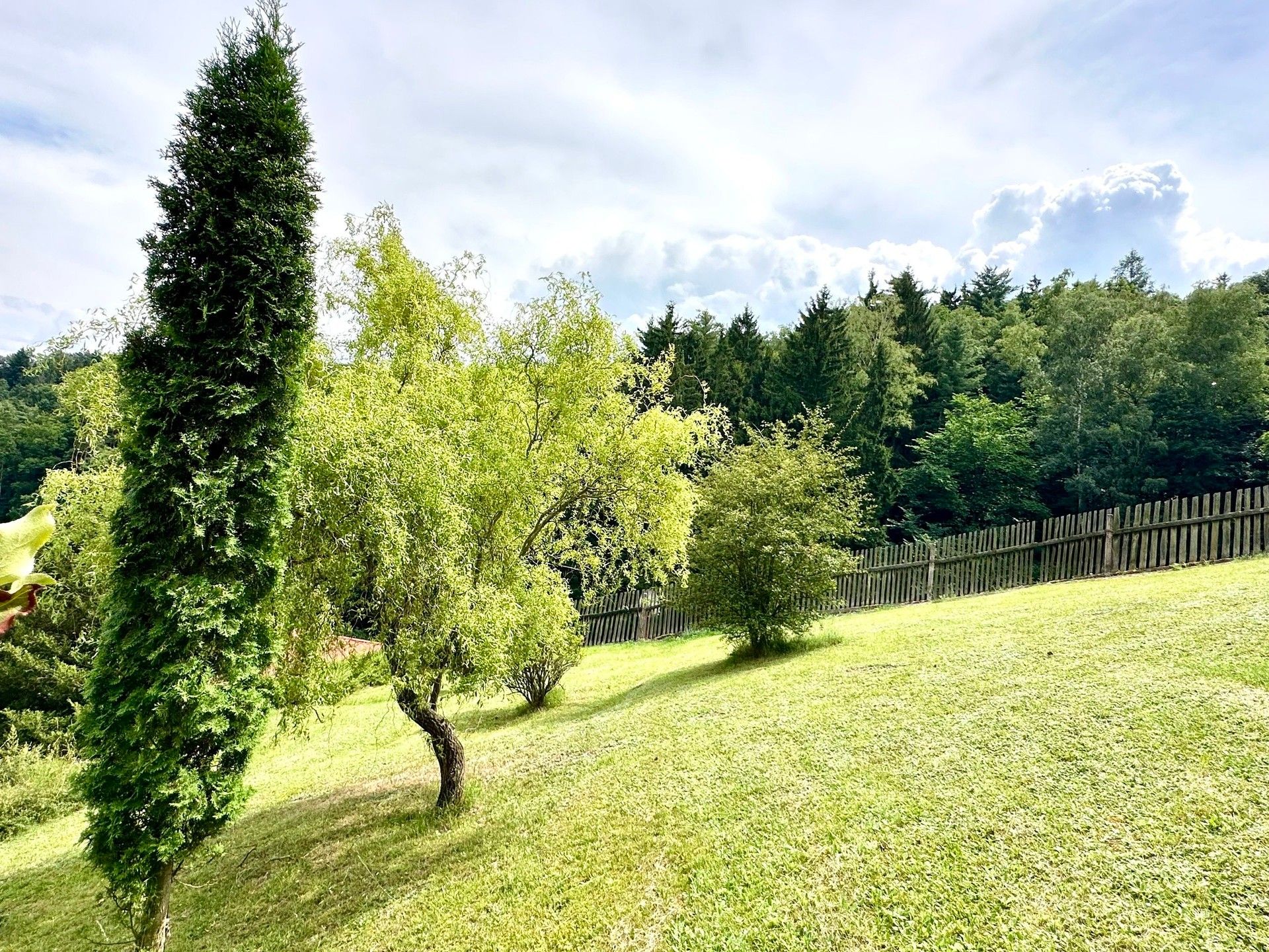 Pozemky pro bydlení, Stříbrná Skalice, 3 706 m²