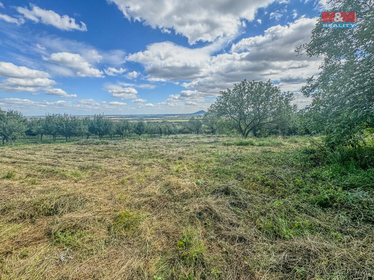 Prodej zahrada - Třebenice, 411 13, 3 500 m²