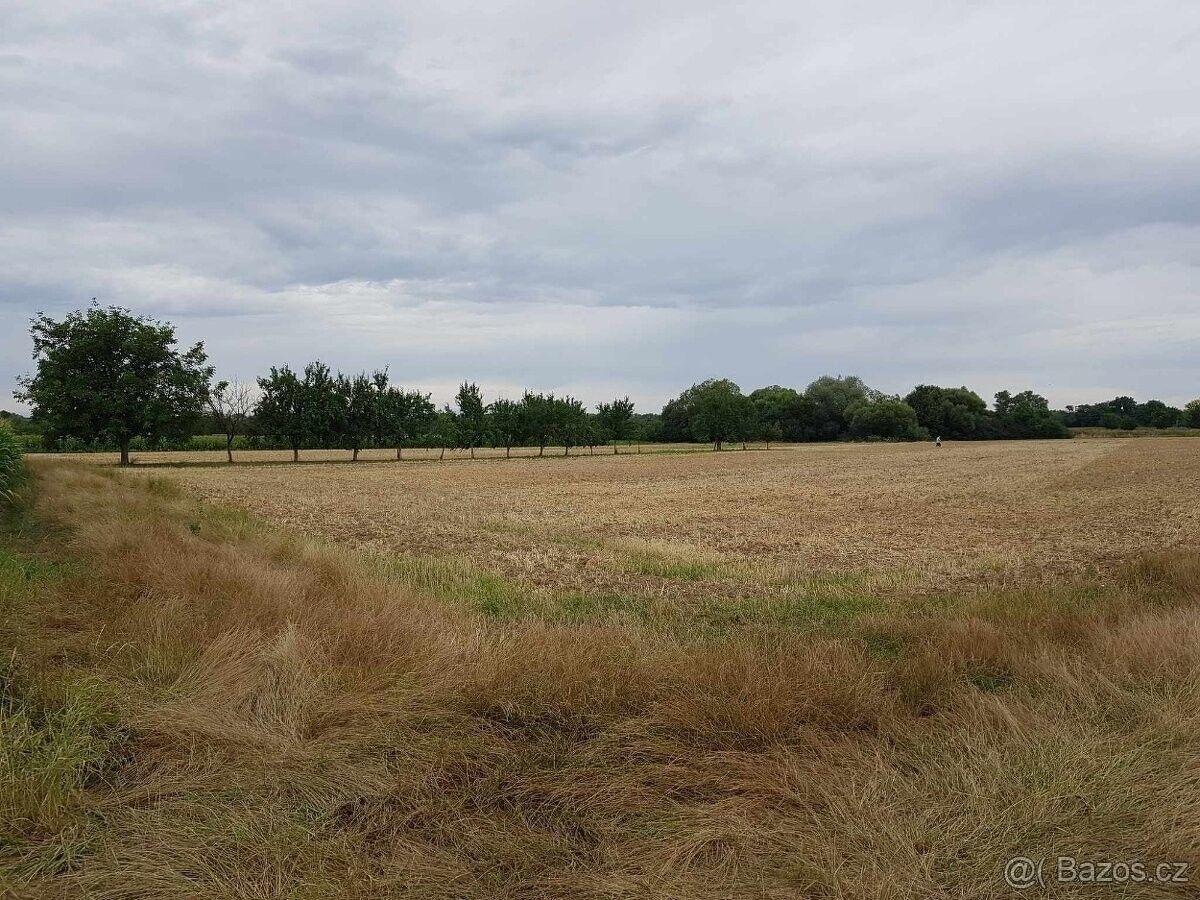 Prodej zemědělský pozemek - Veselí nad Moravou, 698 01, 5 415 m²