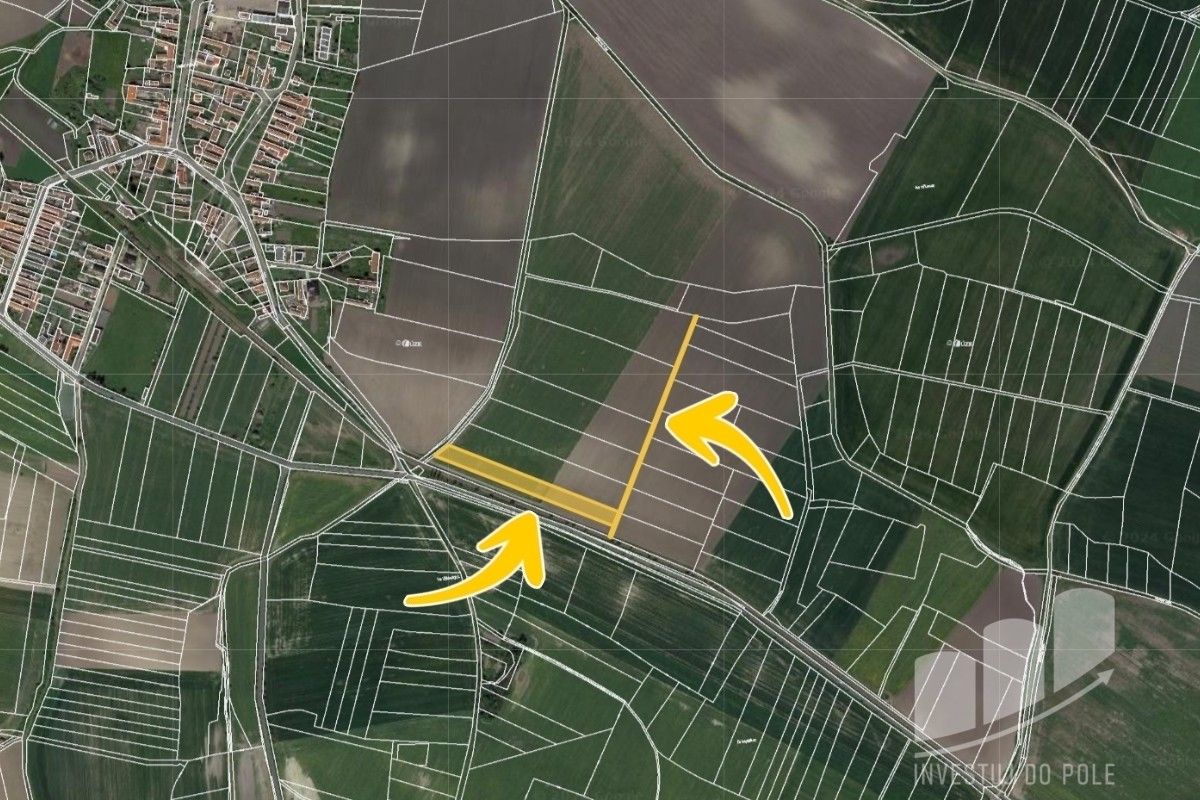 Prodej zemědělský pozemek - Velké Výkleky, Běrunice, 3 419 m²
