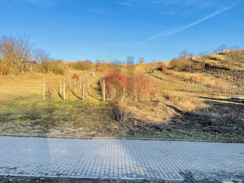 Ostatní, Mutěnice, 696 11, 1 185 m²