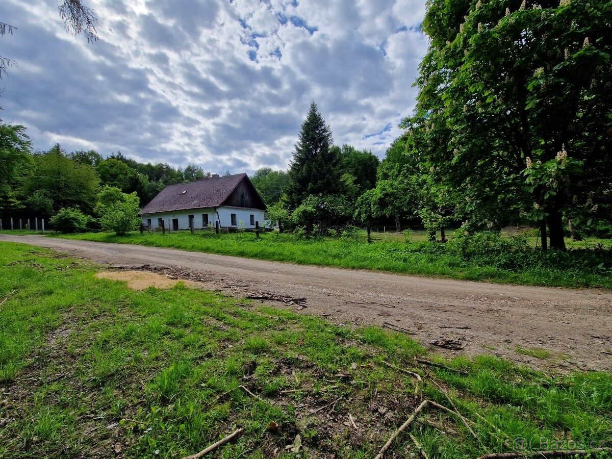 Ostatní, Kralovice, 331 41, 5 000 m²