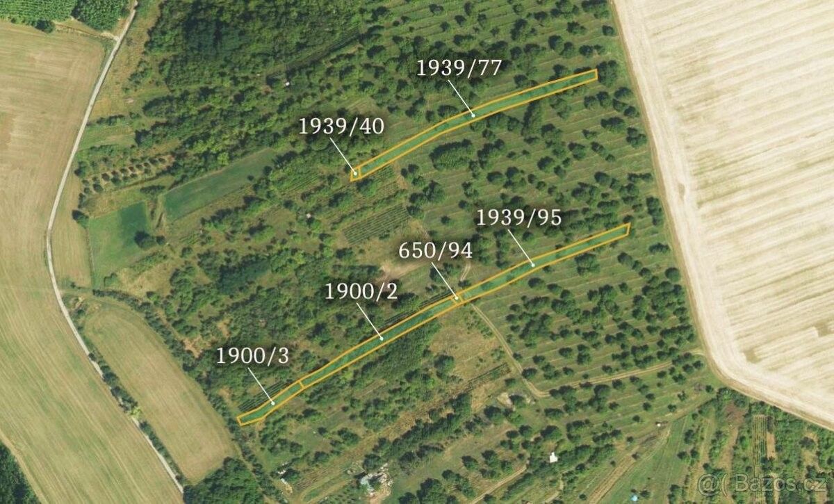 Prodej pozemek - Boleradice, 691 12, 6 736 m²