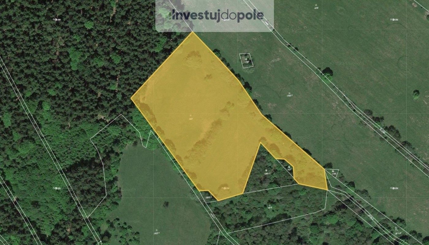 Louky, Babí, Trutnov, 19 250 m²