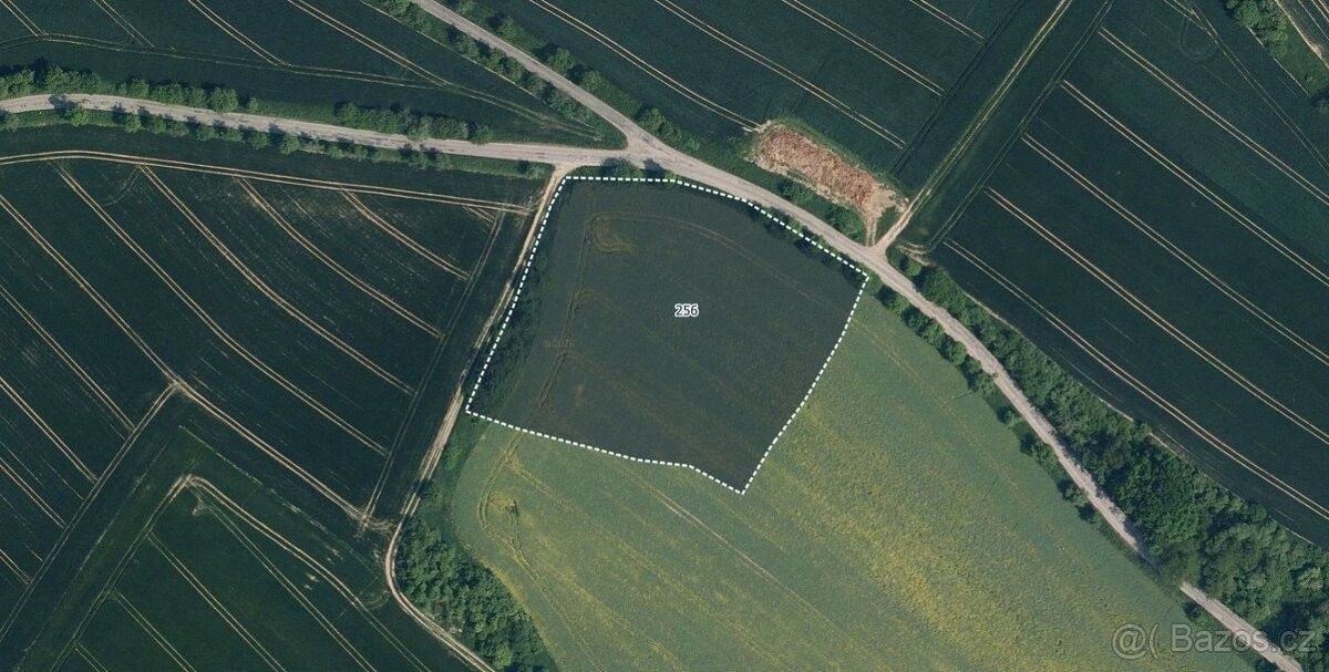 Zemědělské pozemky, Mohelnice nad Jizerou, 294 13