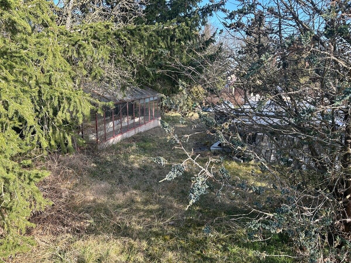Prodej pozemek pro bydlení - Zvole u Prahy, 252 45, 492 m²