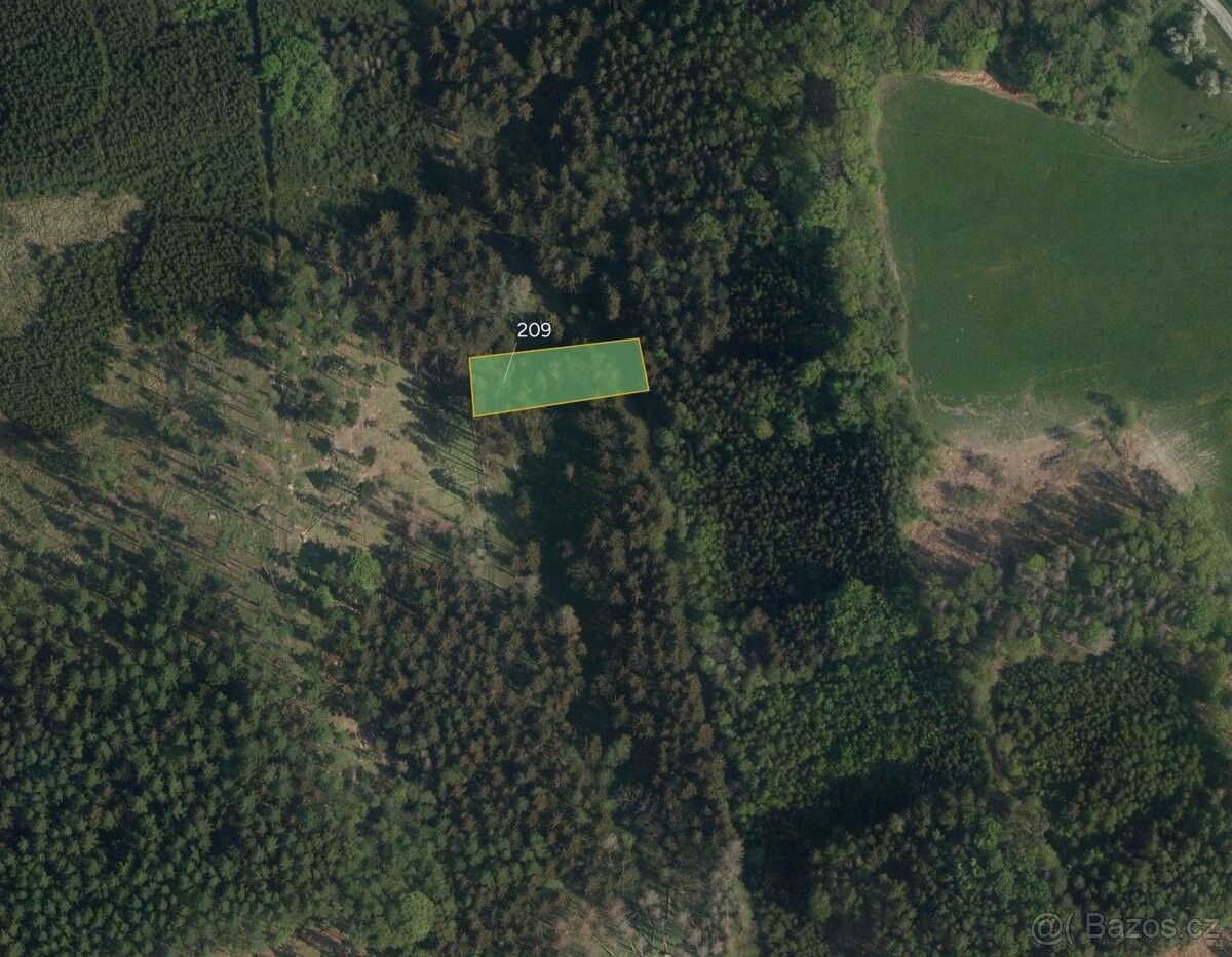 Prodej les - Luže, 538 54