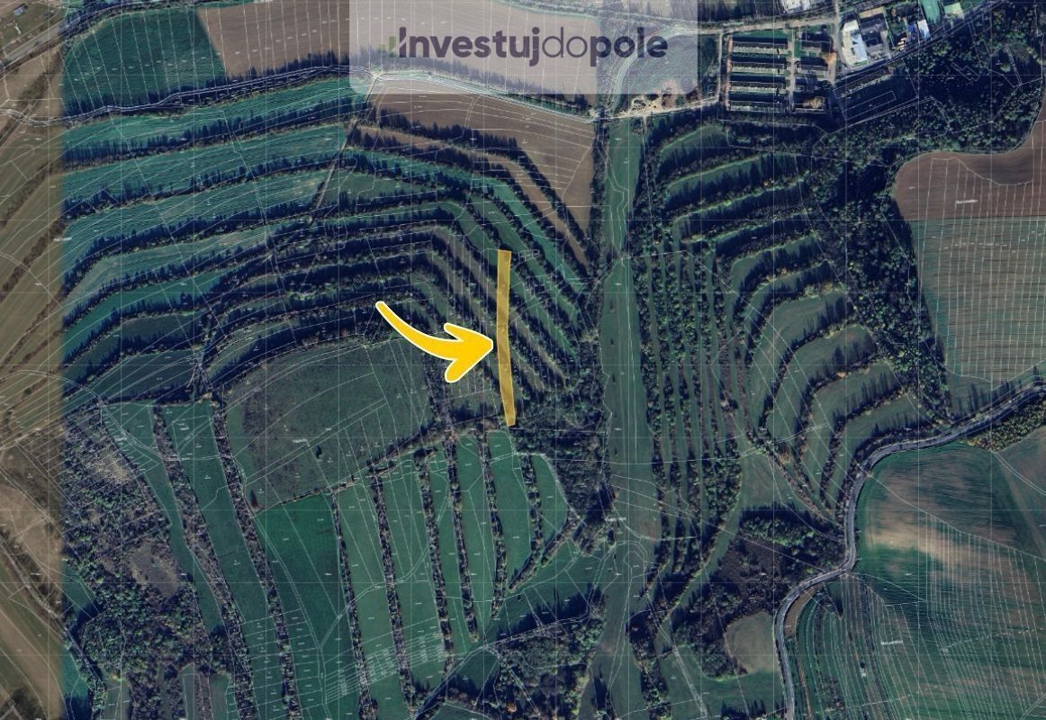 Prodej pozemek - Boršice, 1 285 m²