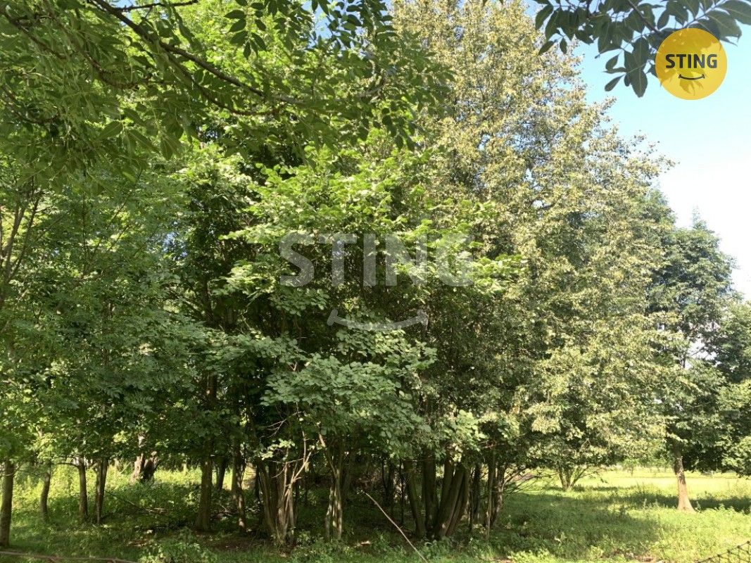 Prodej pozemek pro bydlení - Velká Kraš, 790 58, 2 623 m²
