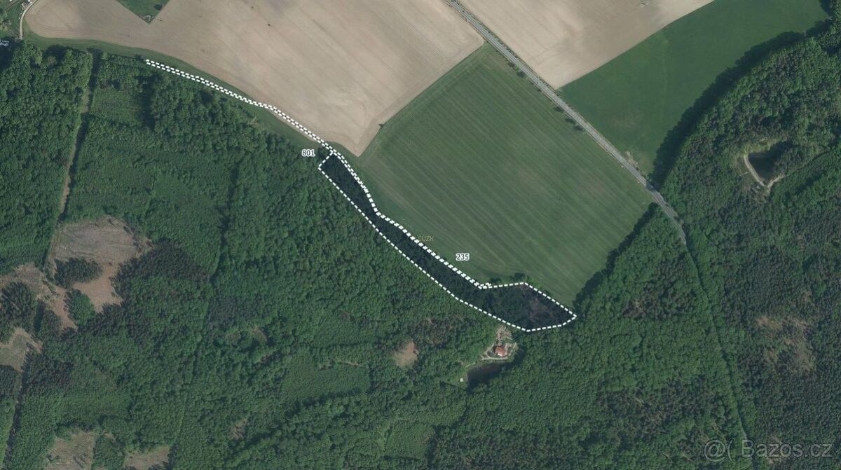 Zemědělské pozemky, Holice v Čechách, 534 01, 43 834 m²