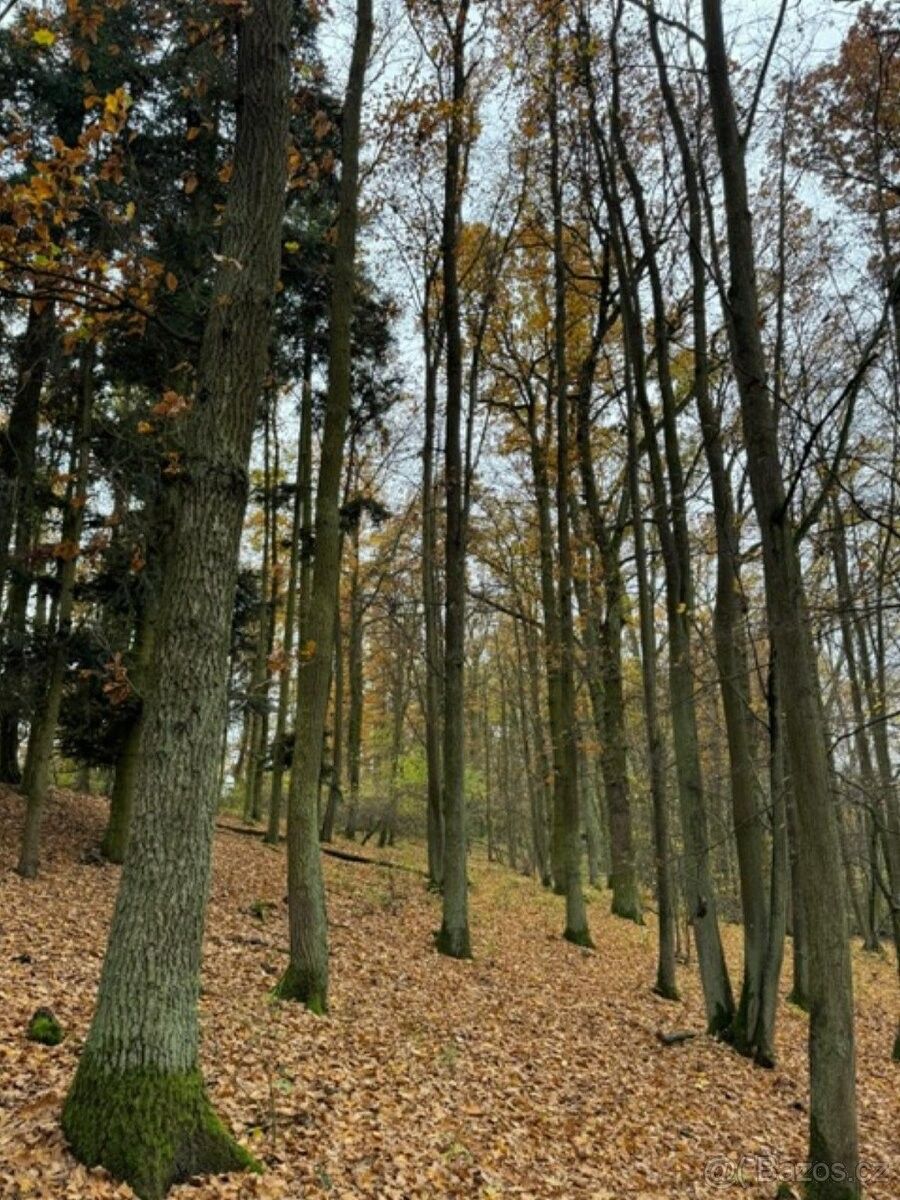 Lesy, Přeštice, 334 01, 31 992 m²