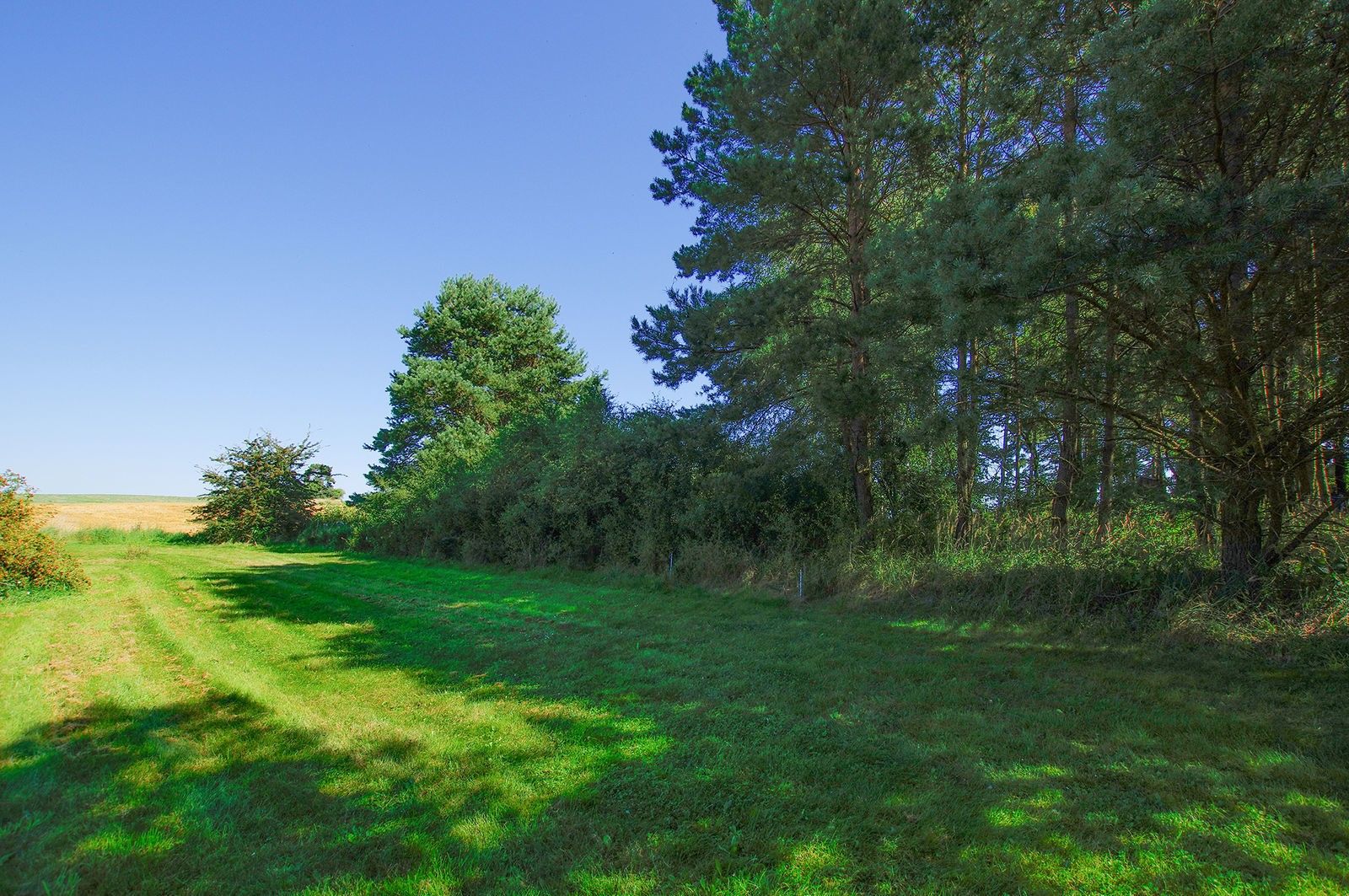Prodej louka - Podolí I, 1 799 m²