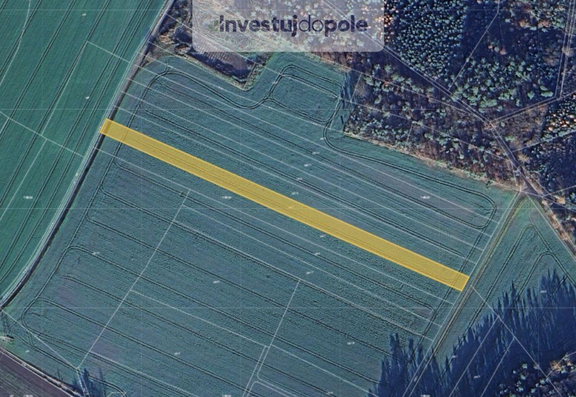 Zemědělské pozemky, Dalešice, Bítouchov, 2 877 m²