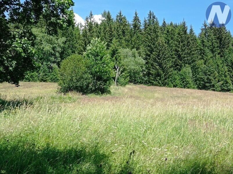 Zemědělské pozemky, Vimperk, 385 01, 22 888 m²