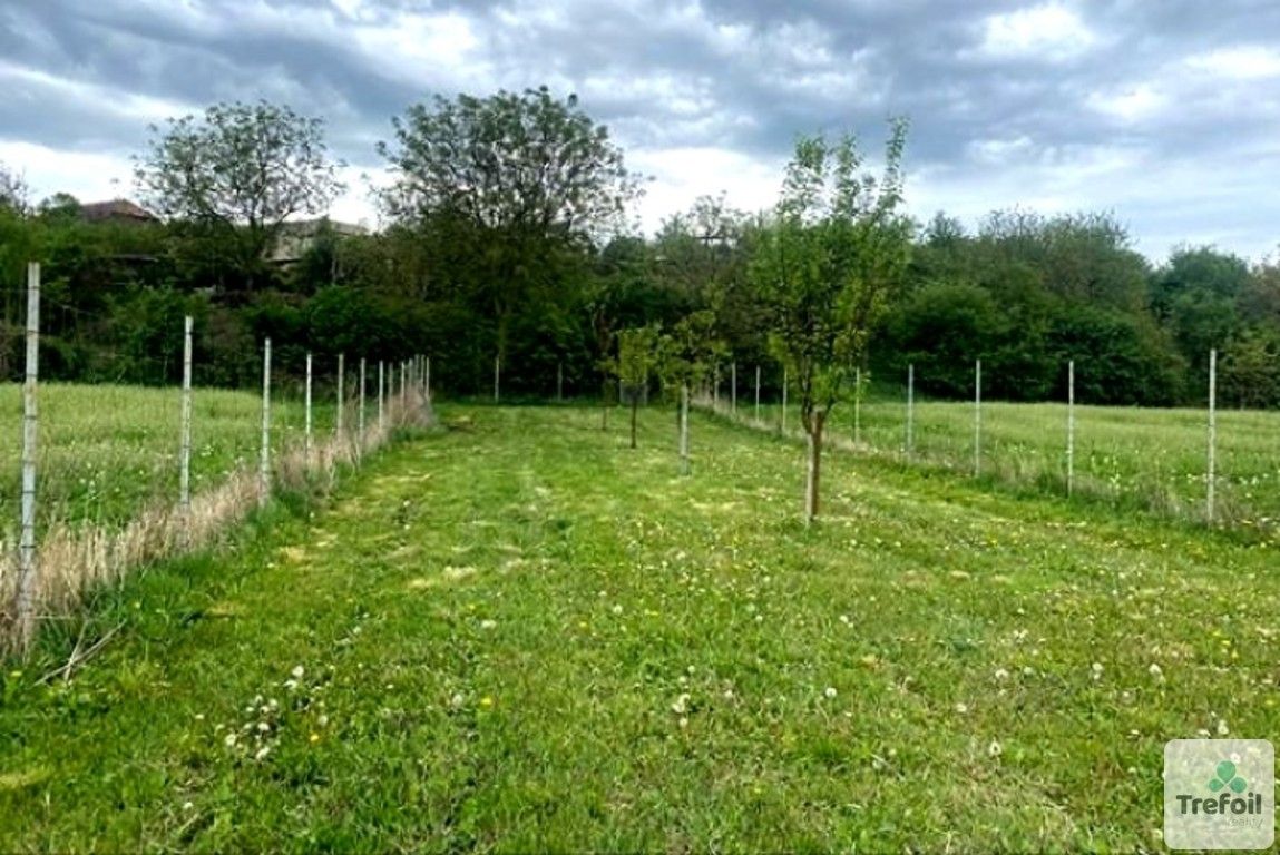 Zemědělské pozemky, Sokolnice, 1 667 m²