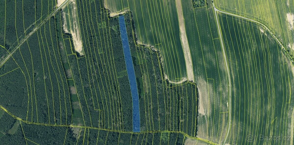 Prodej les - Třemošná, 330 11, 20 954 m²