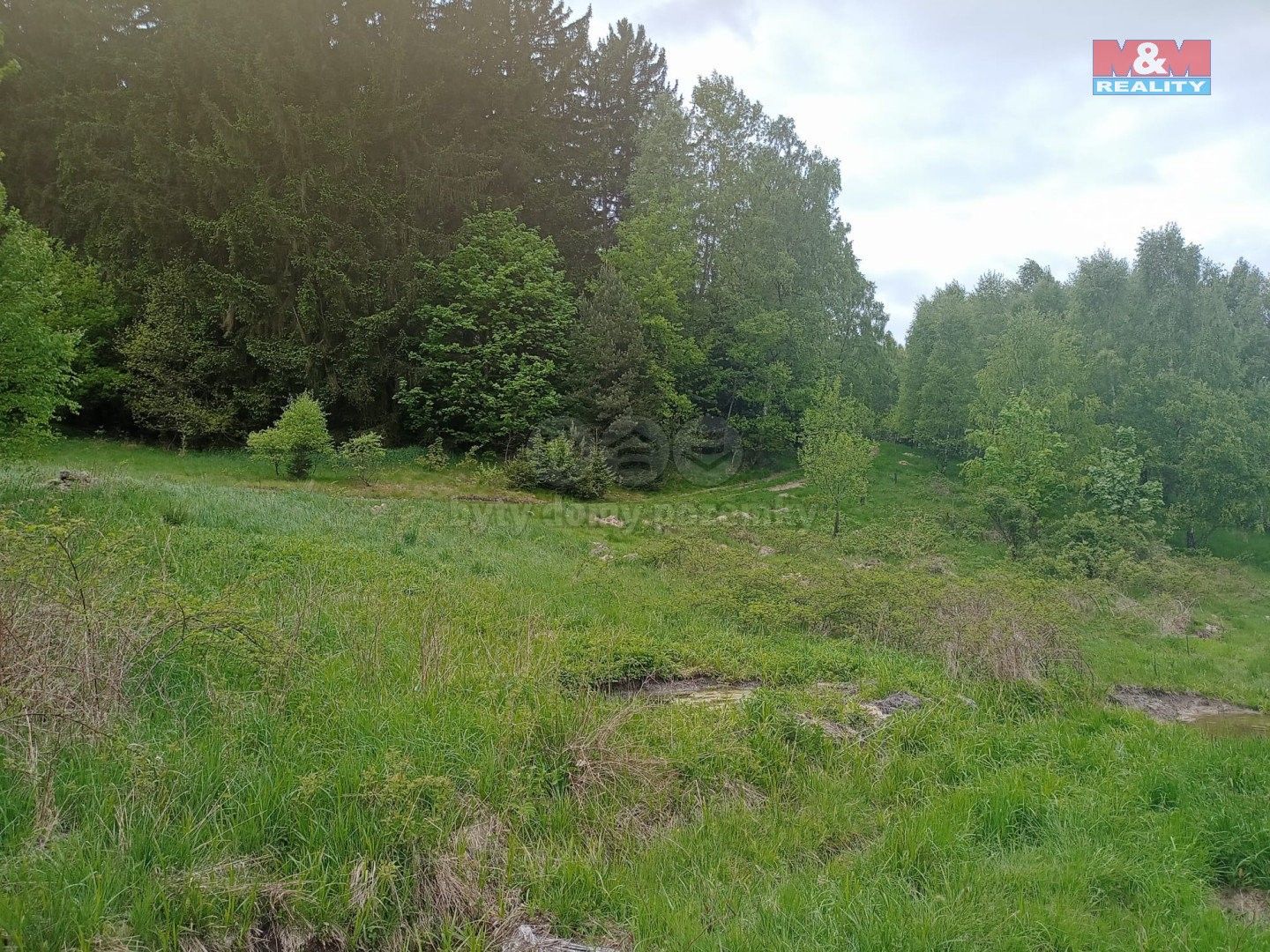 Louky, Rejdice, Kořenov, 7 967 m²