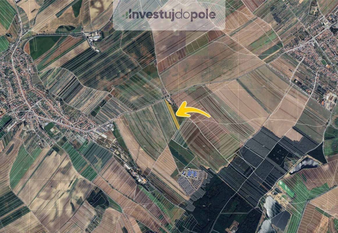 Prodej pozemek - Šardice, 11 718 m²