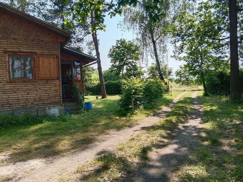 Prodej les - Borovany, 373 12, 34 m²