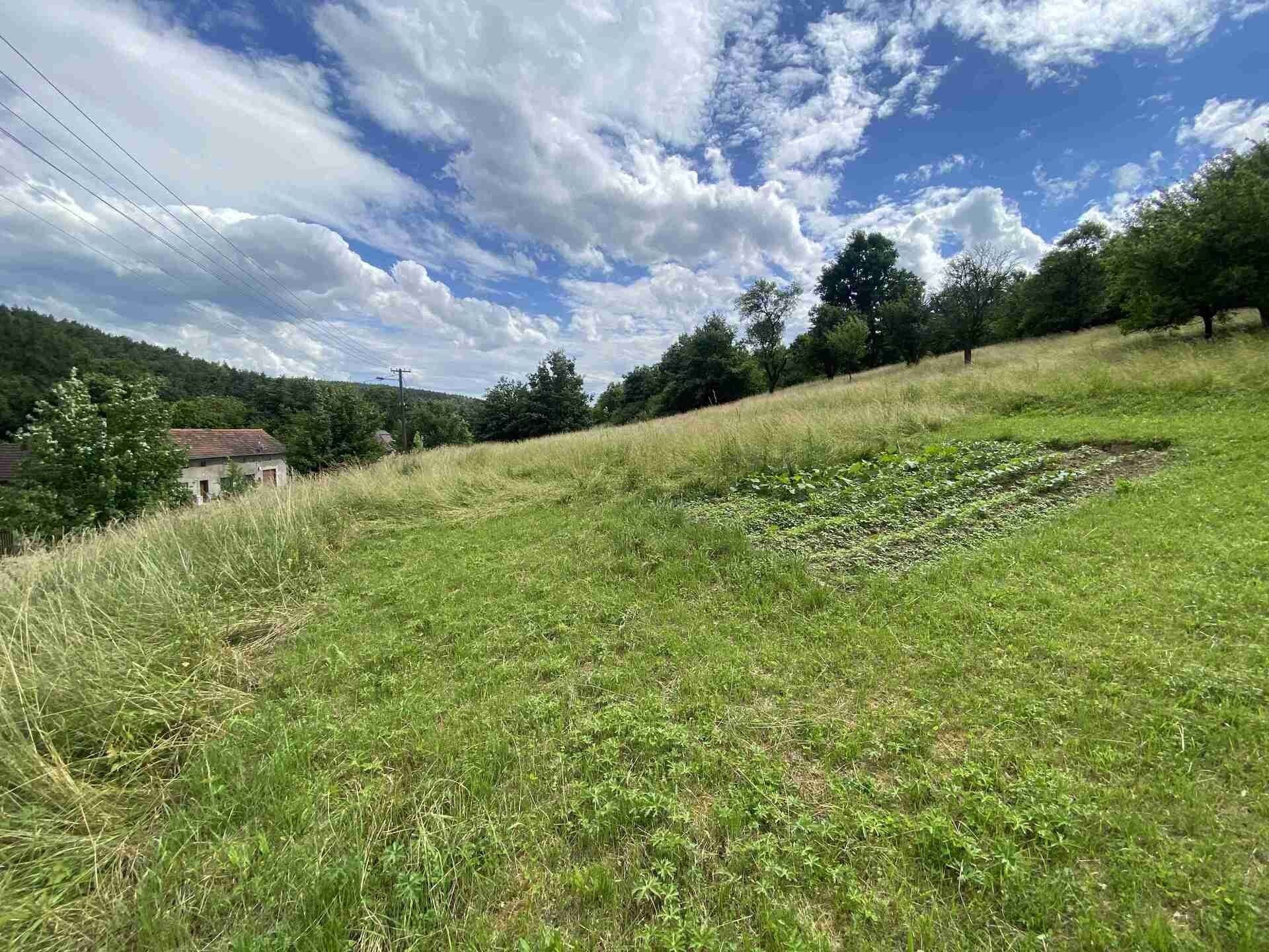 Ostatní, Šarovy, 1 000 m²