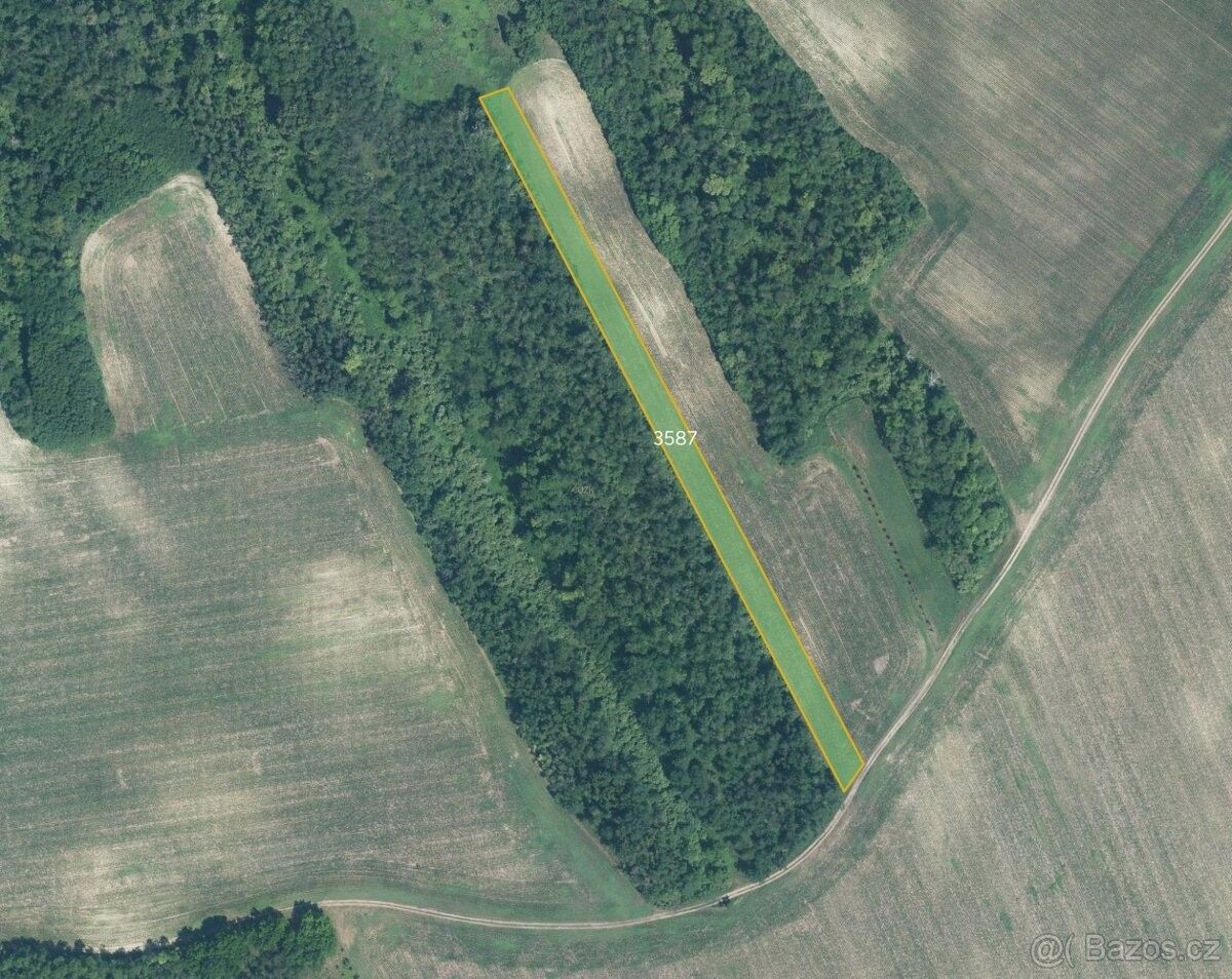 Zemědělské pozemky, Čejč, 696 14