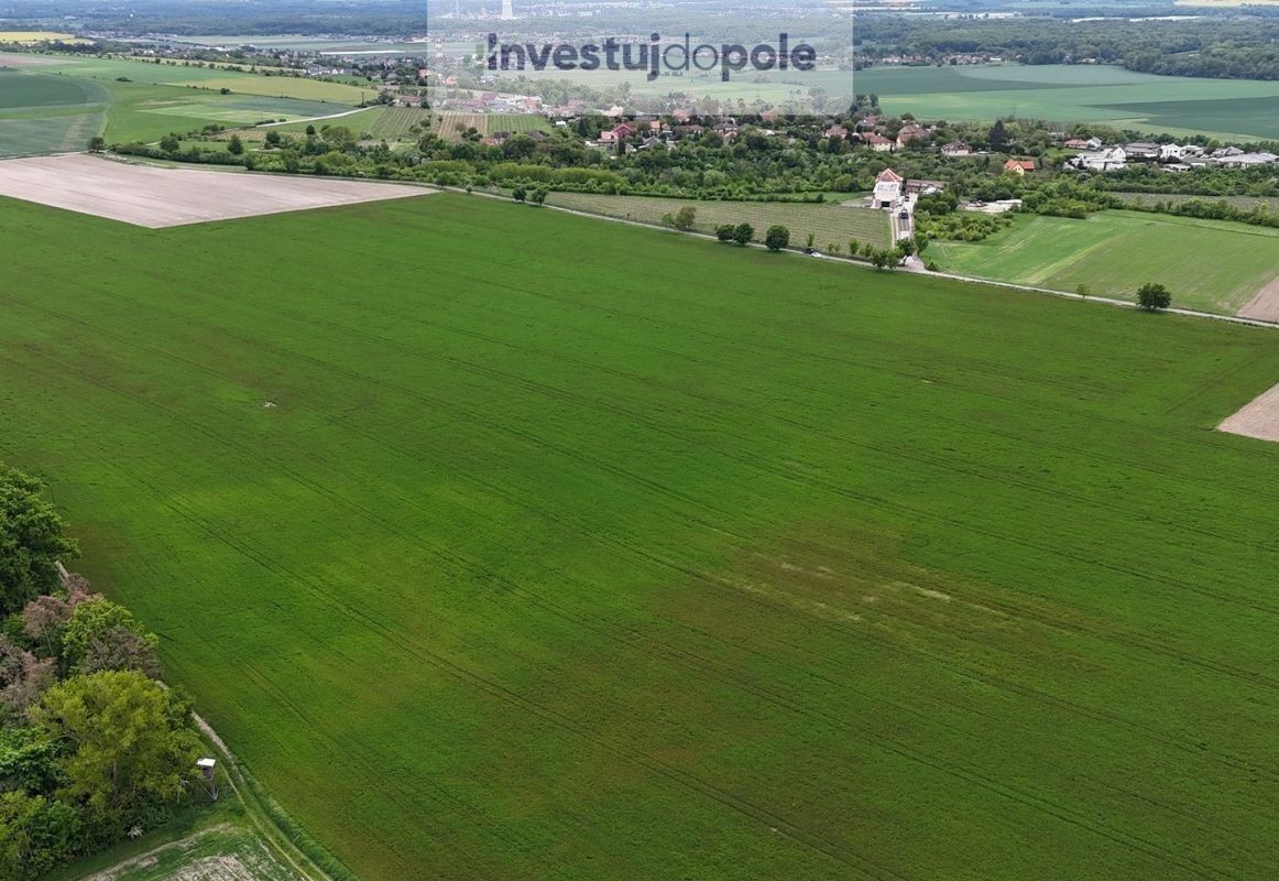Prodej zemědělský pozemek - Skuhrov, Velký Borek, 13 936 m²