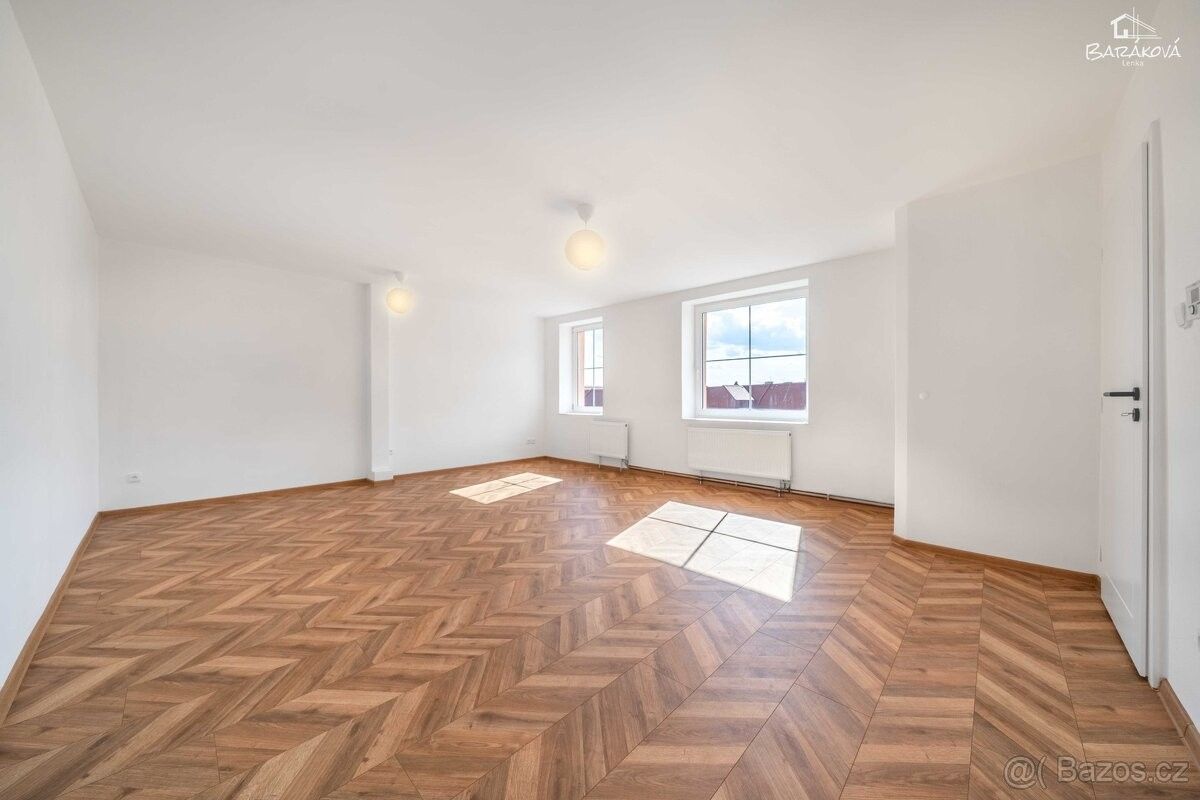 Prodej byt 1+1 - Plzeň, 301 00, 55 m²