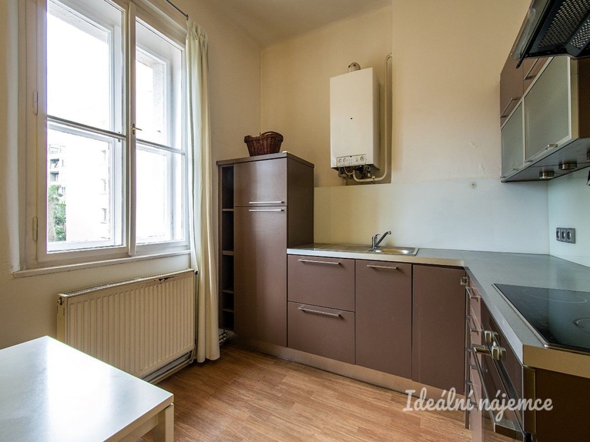 Pronájem byt 1+1 - U Demartinky, Praha, 45 m²