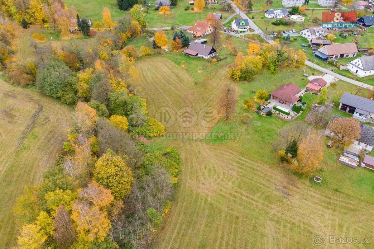 Prodej zemědělský pozemek - Rychnov nad Kněžnou, 516 01, 1 800 m²