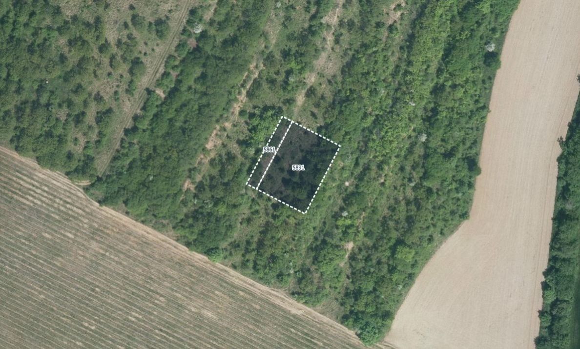 Zahrady, Lovčice, 662 m²