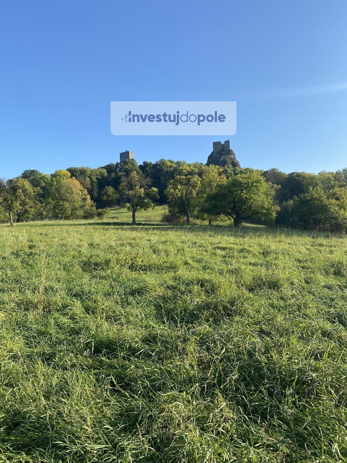 Prodej louka - Tachov, Troskovice, 5 567 m²