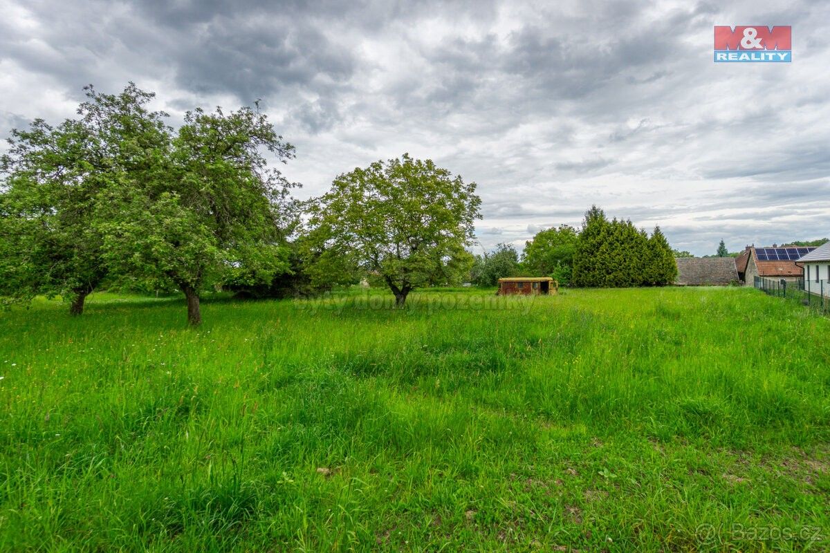 Prodej les - Přelouč, 535 01, 4 508 m²