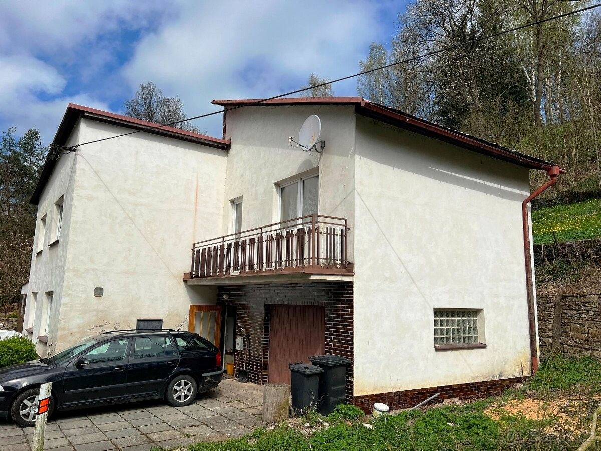 Ostatní, Ústí nad Orlicí, 562 01, 110 m²