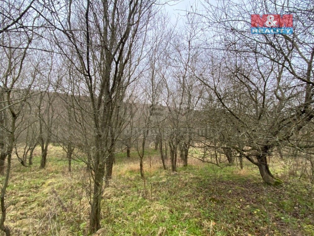 Zemědělské pozemky, Bohuslavice u Zlína, 763 51, 11 619 m²