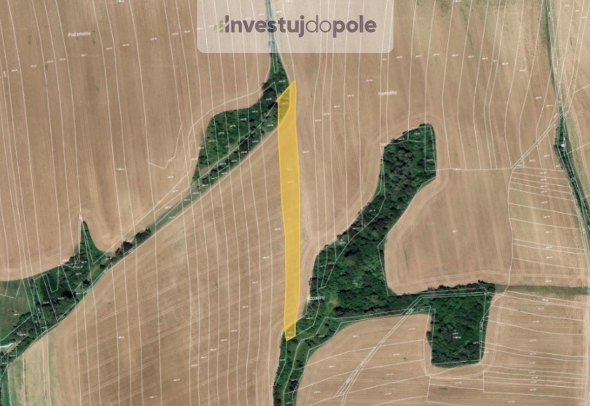 Zemědělské pozemky, Medlov, Zborovice, 5 441 m²
