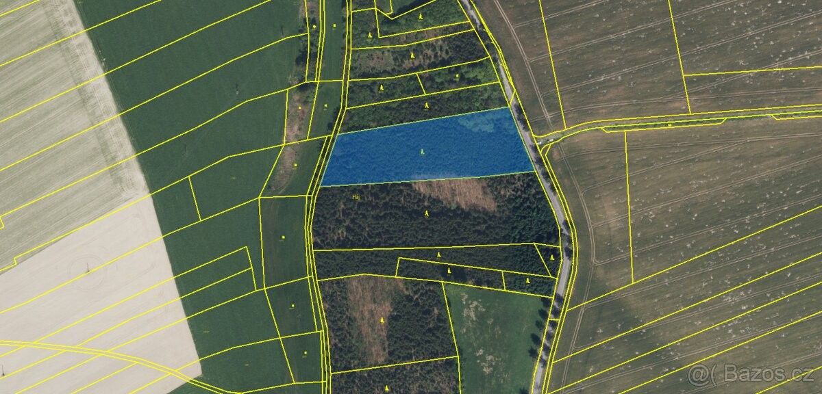 Prodej les - Řepníky, 538 65, 10 373 m²