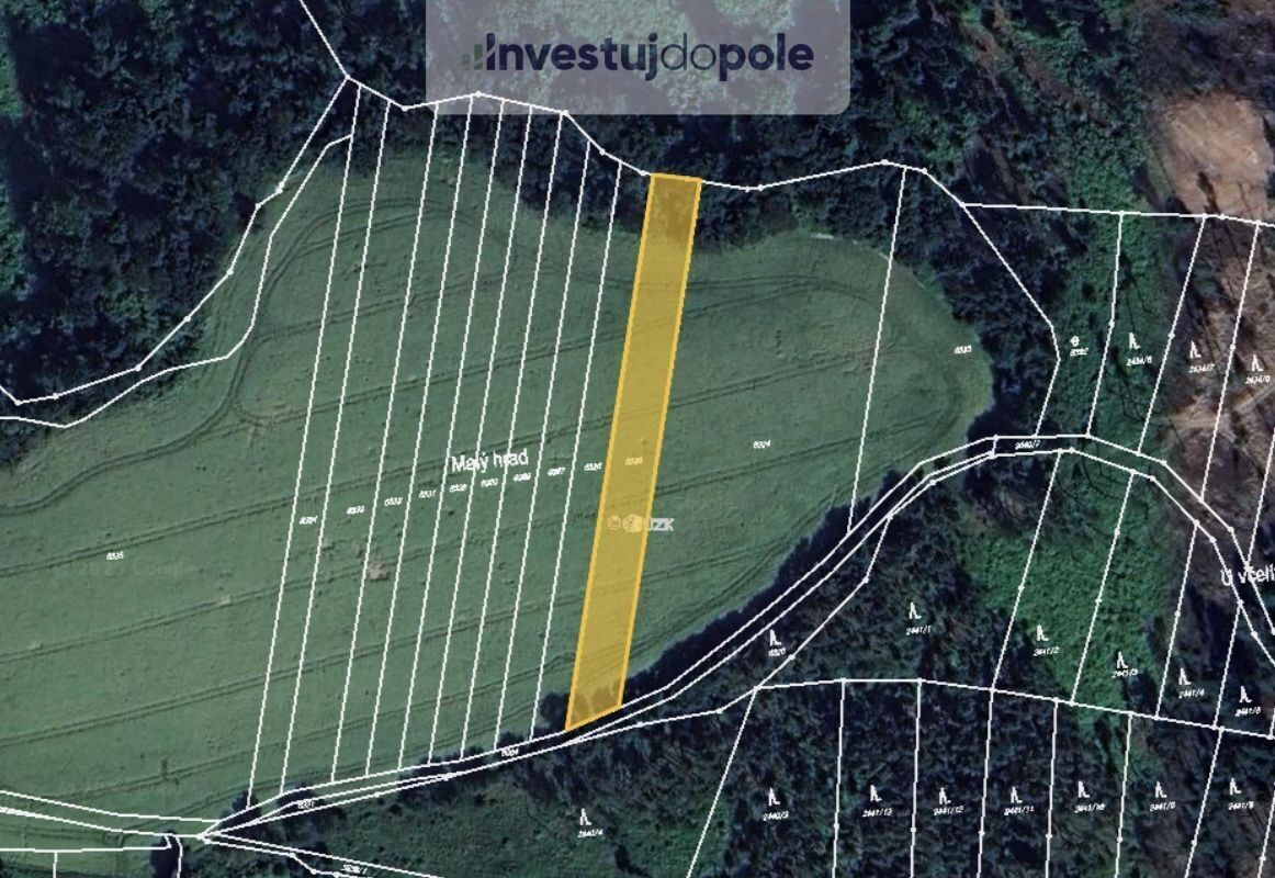 Prodej zemědělský pozemek - Hamry, Doubravice nad Svitavou, 4 120 m²