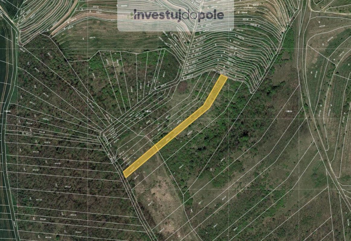 Zemědělské pozemky, Hustopeče, 1 770 m²