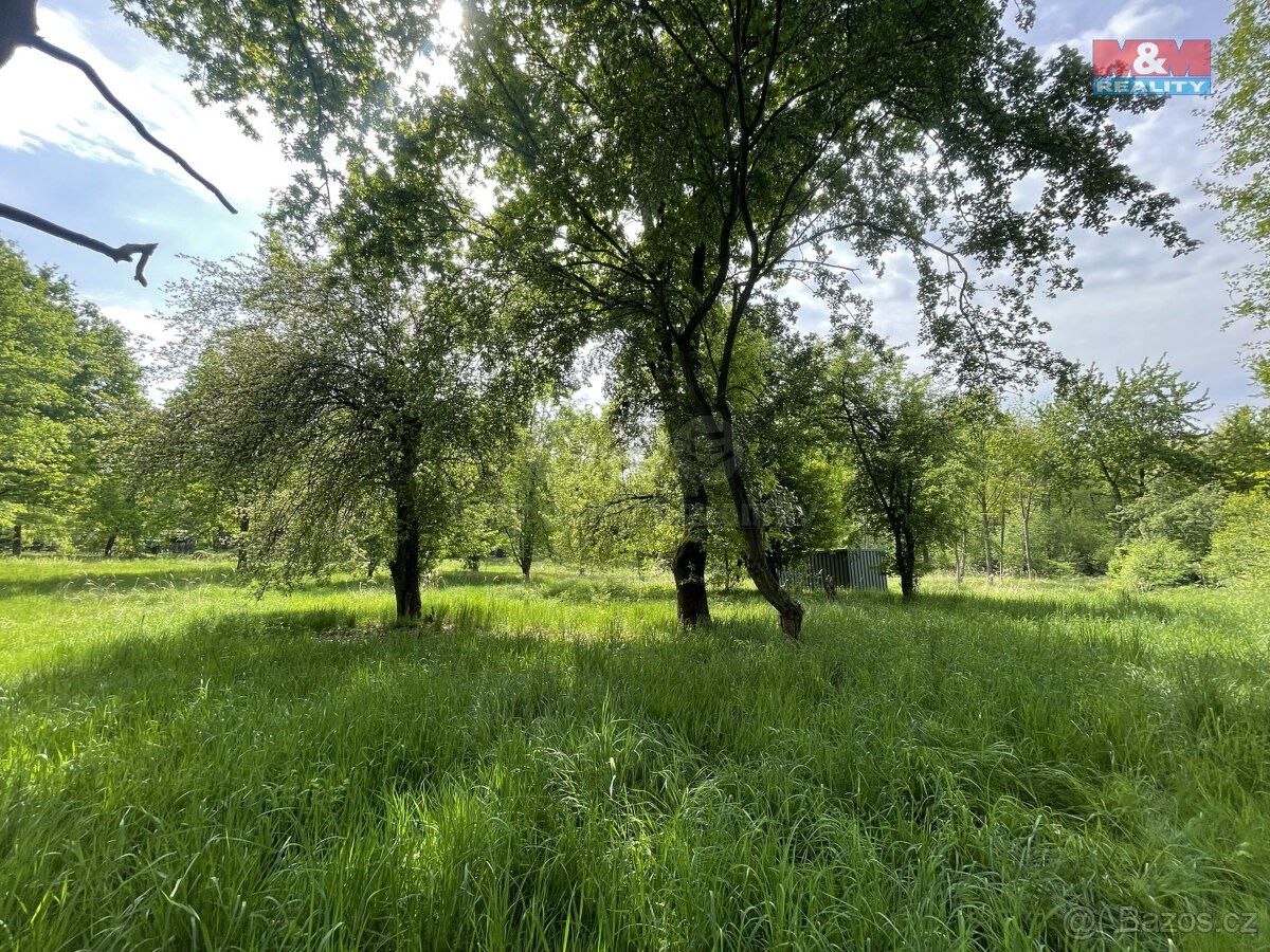 Zahrady, Oldřichov, 417 24, 1 999 m²