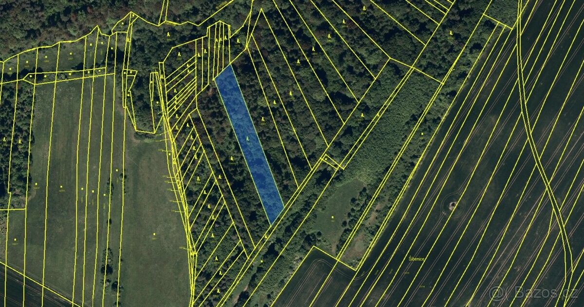 Prodej les - Velká Polom, 747 64, 4 640 m²