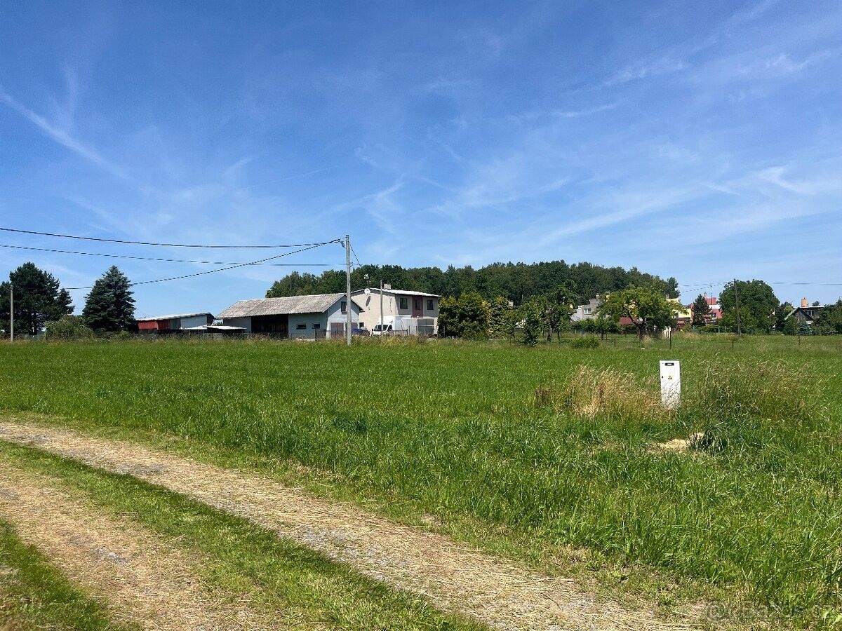 Prodej pozemek pro bydlení - Lučina, 739 39, 1 229 m²