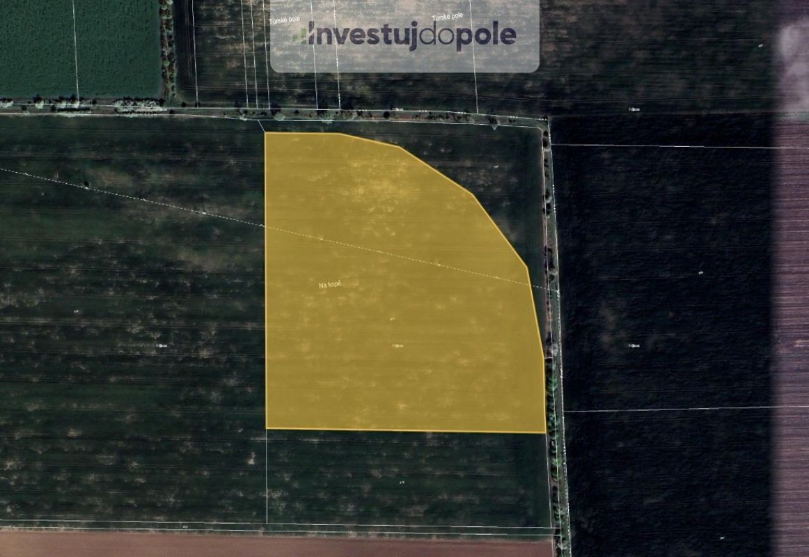 Zemědělské pozemky, Kozinec, Holubice, 10 992 m²
