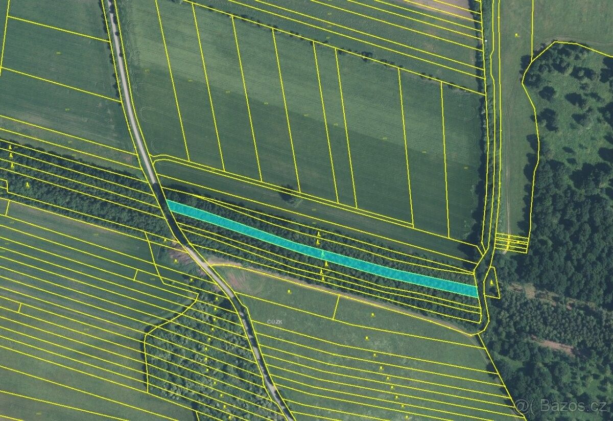 Prodej zemědělský pozemek - Velká nad Veličkou, 696 74, 3 168 m²